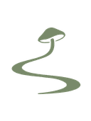 Pliable Pathways logo